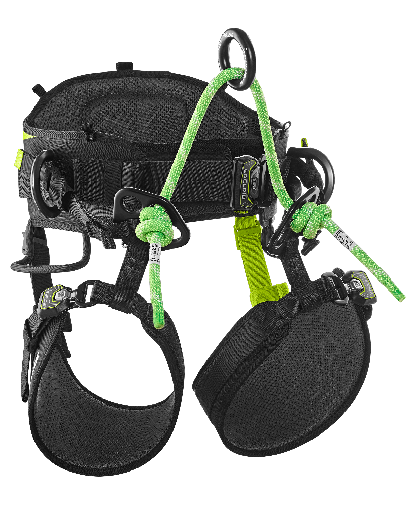 Harnais cuissard d'élagage - TREERAPTOR - EDELRID®