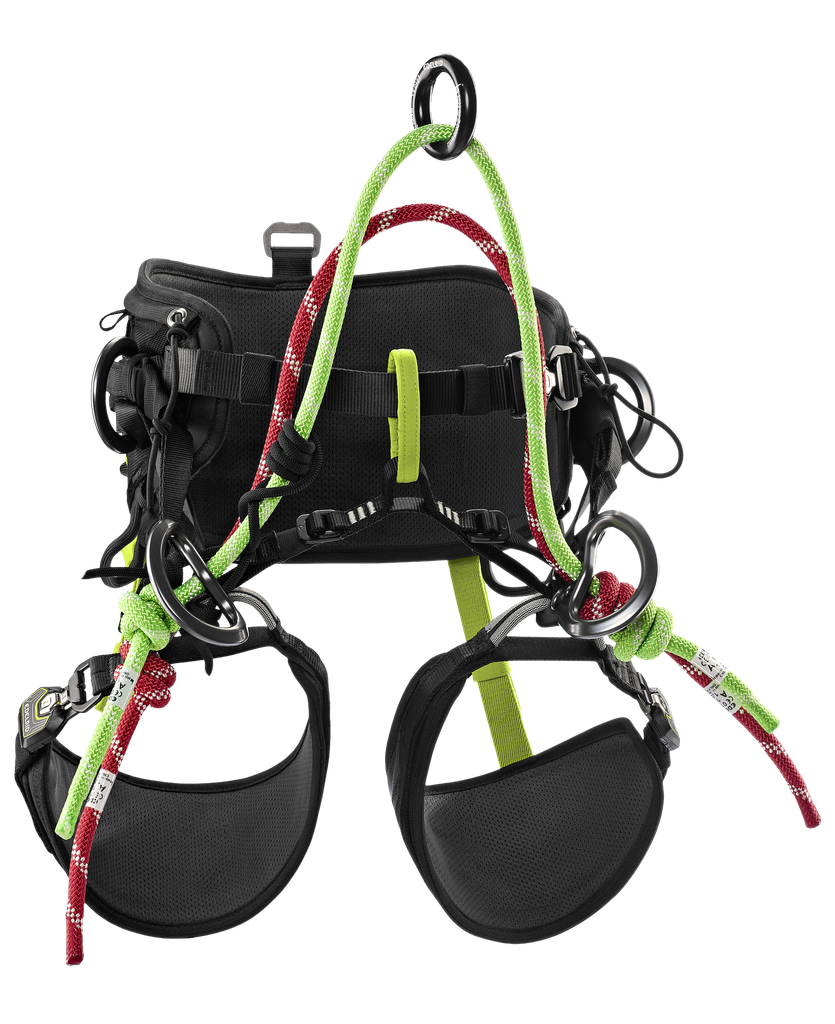 Harnais cuissard d’élagage - TREEREX II - EDELRID®