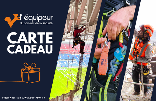 Carte-cadeau 500