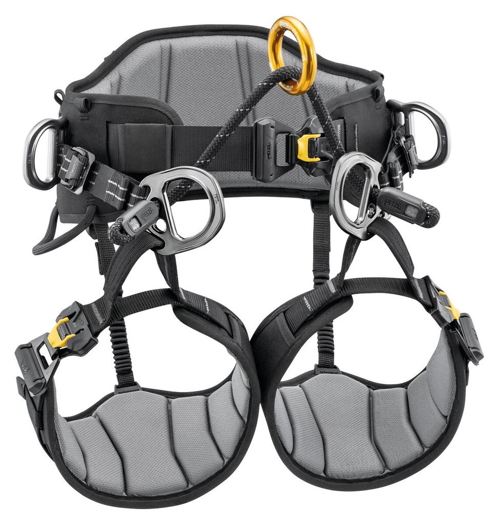 Harnais cuissard d’élagage - SEQUOIA 2026 - PETZL®